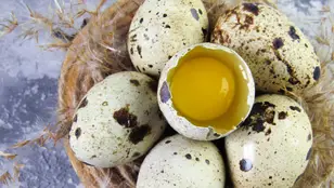 Huevos de codorniz