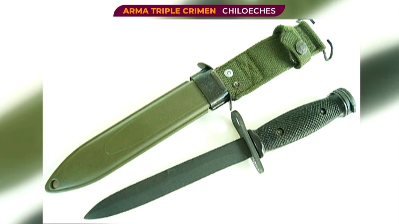 Fernando entró a la vivienda de Chiloeches armado con una bayoneta y se encontró con el otro hijo de la familia Fernando entró a la vivienda de Chiloeches armado con una bayoneta y se encontró con el otro hijo de la familia