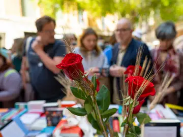 Rosas en Sant Jordi 2024 Rosas en Sant Jordi 2024