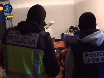 Policía Nacional y Policía Foral de Navarra desarticula una macrooperación de 'Los Trinitarios'