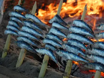 Sardinas Sardinas