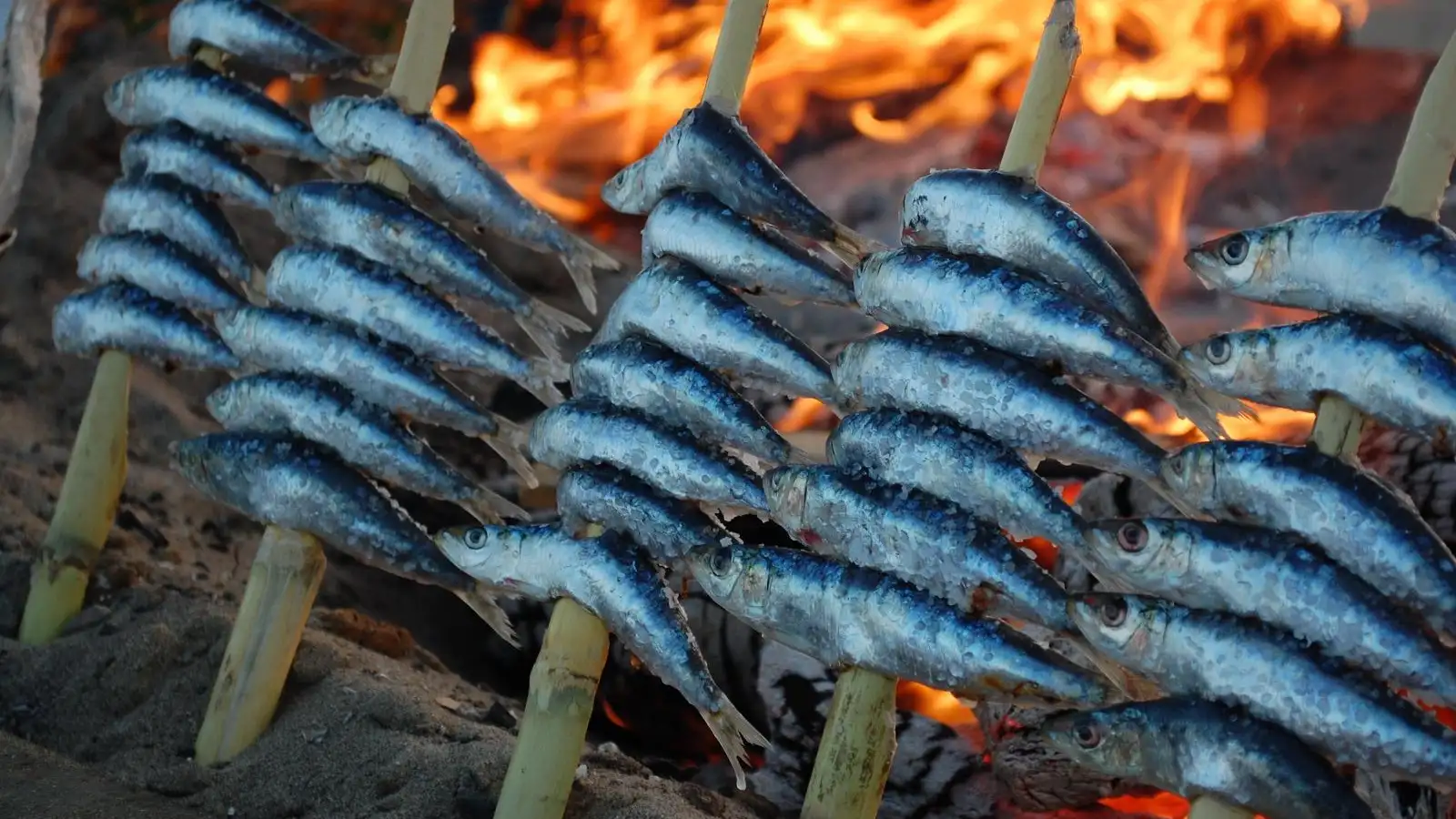 Sardinas Sardinas