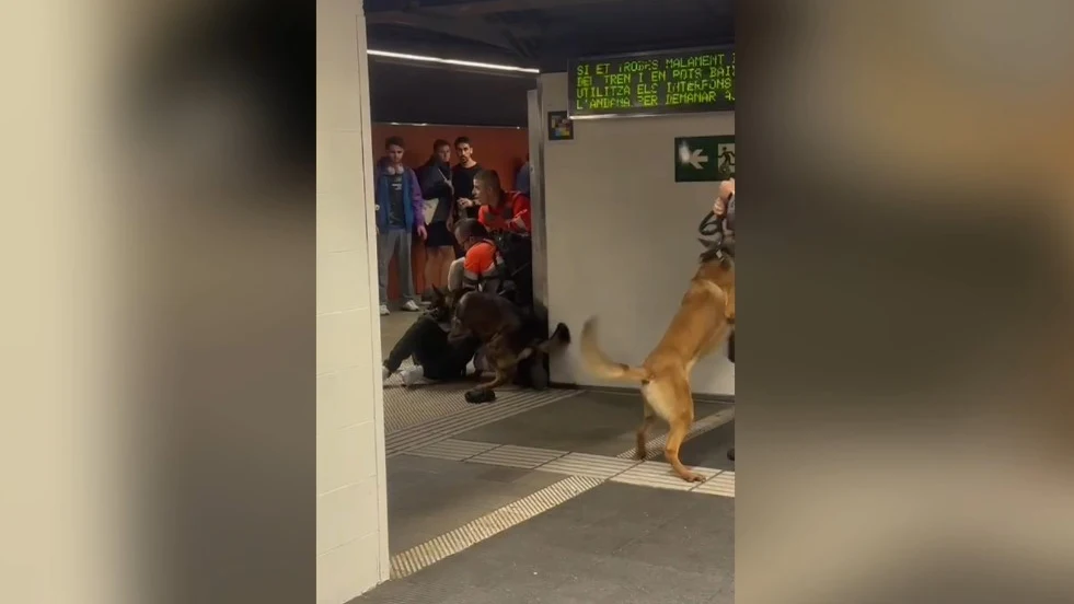 Agreden a dos vigilantes de seguridad del metro de Sants Agreden a dos vigilantes de seguridad del metro de Sants