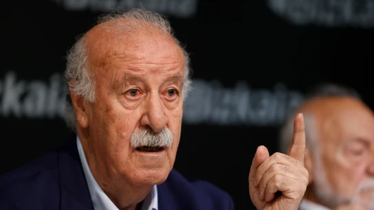 Vicente del Bosque en una imagen de archivo Vicente del Bosque en una imagen de archivo