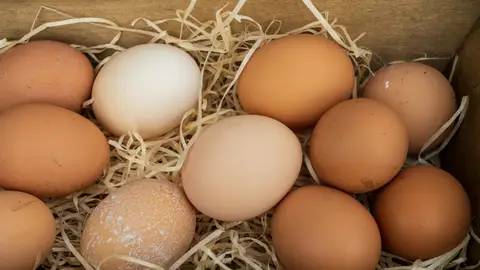 Huevos Huevos