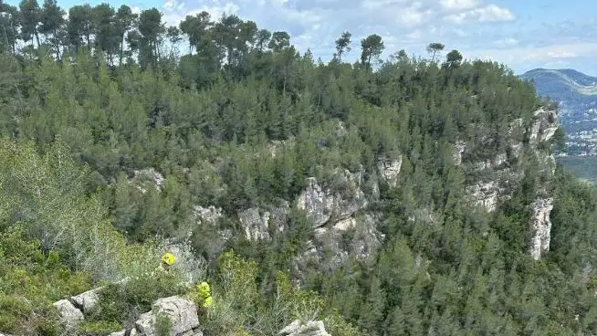 Imagen subida a redes sociales por los Bomberos de Catalu&ntilde;a