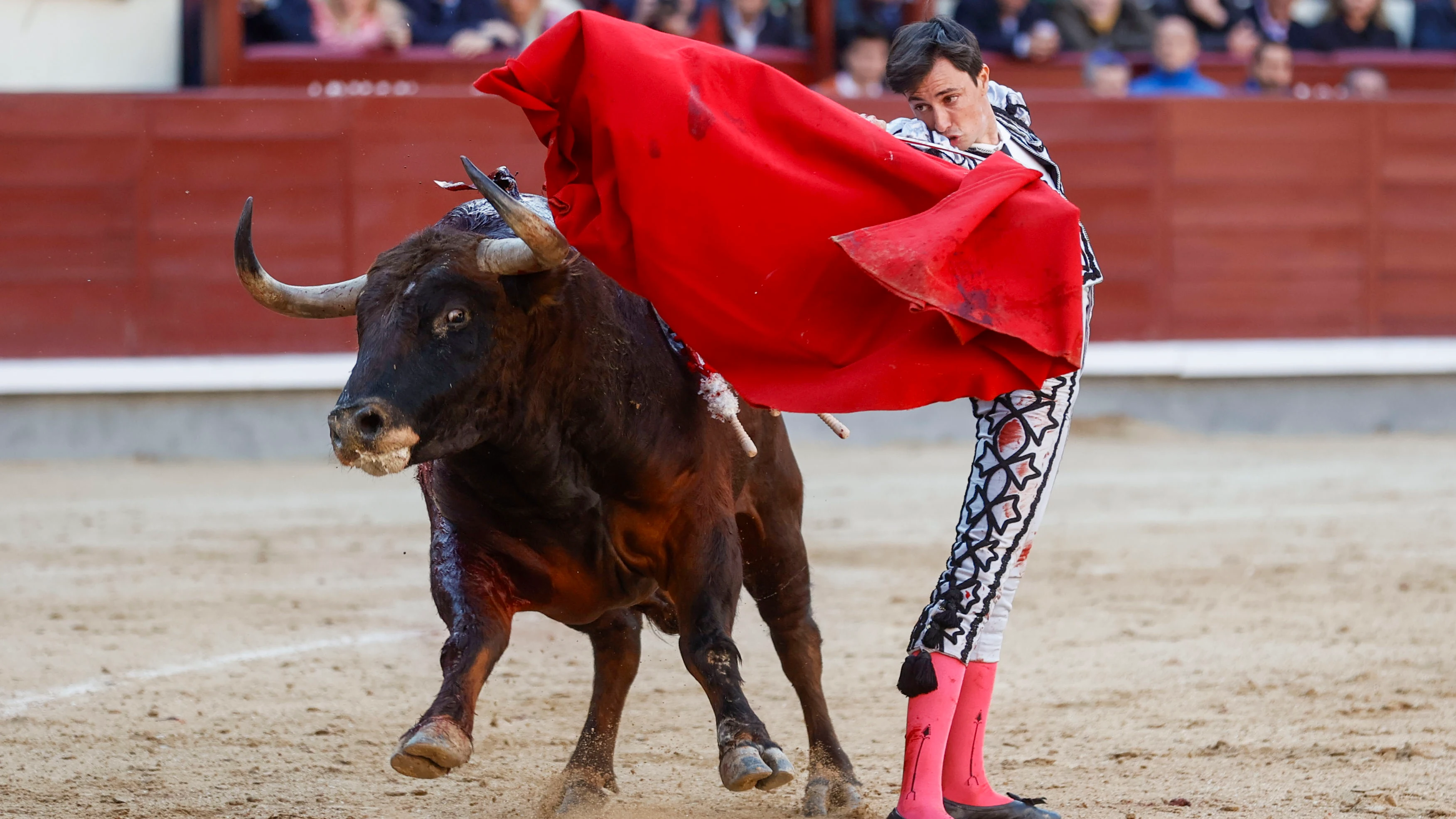 El diestro Francisco Jos&eacute; Espada 