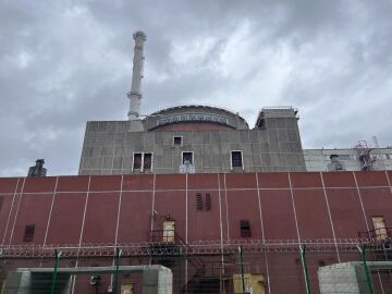 Ucrania.- El OIEA denuncia actividades militares "casi diarias" en las inmediaciones de la planta nuclear de Zaporiyia