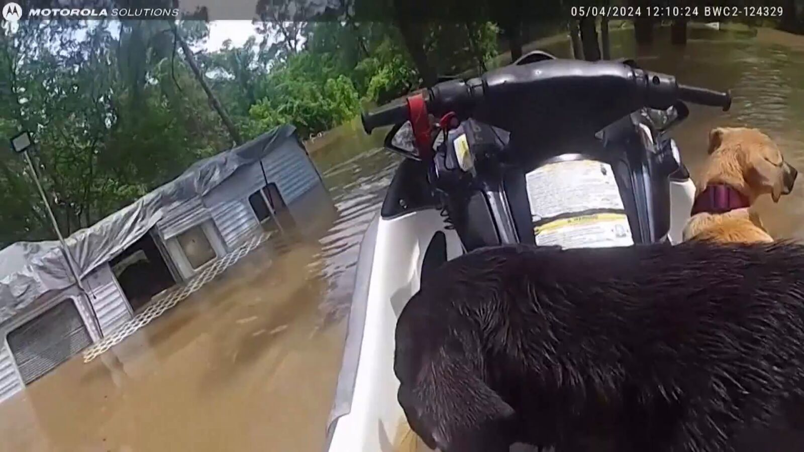 VÍDEO: El asombroso rescate de varias personas en medio del caos por fuertes inundaciones