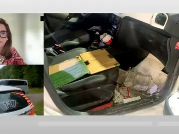 Novedades niña lobo. Novedades niña lobo.