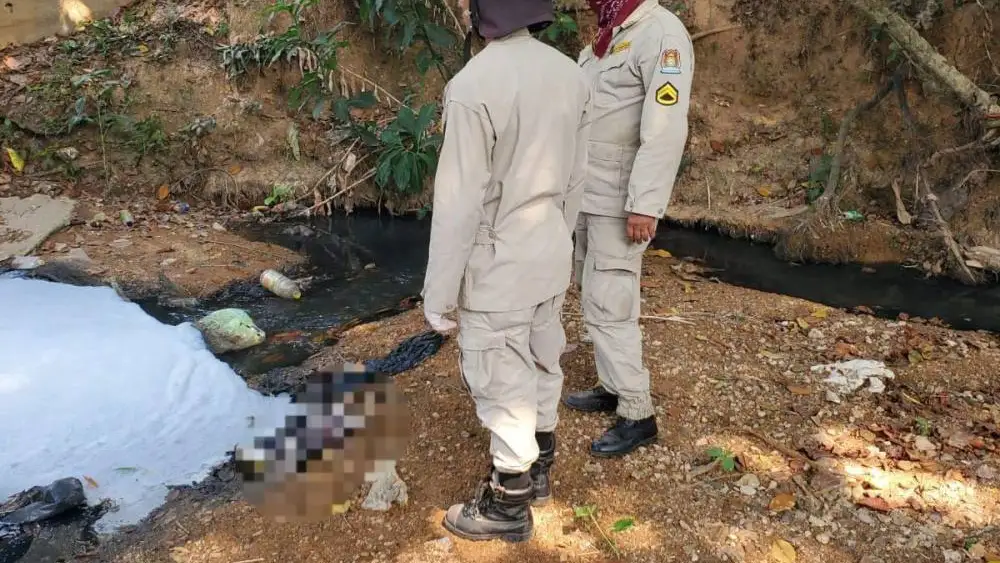 Zona en la que se ha encontrado el cadáver de un bebé Zona en la que se ha encontrado el cadáver de un bebé