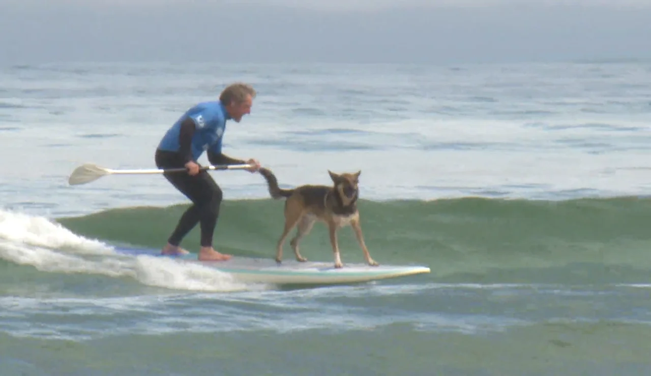 Un surfero con su perro en la Playa de la Concha (Suances)