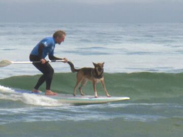 Un surfero con su perro en la Playa de la Concha (Suances)