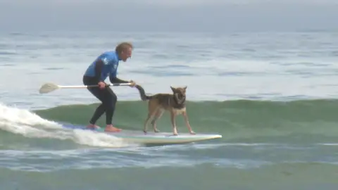 Un surfero con su perro en la Playa de la Concha (Suances) Un surfero con su perro en la Playa de la Concha (Suances)