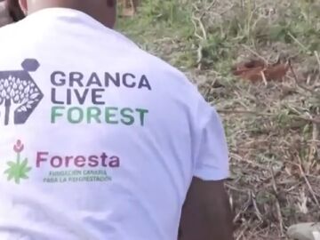 Granca Live Forest, en Canarias