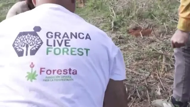 Granca Live Forest, en Canarias El festival sostenible que se celebra en Canarias