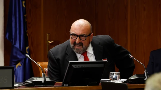 Koldo García en su comparecencia ante el Senado Koldo García en su comparecencia ante el Senado