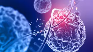 ADN y virus, imagen de archivo ADN y virus, imagen de archivo