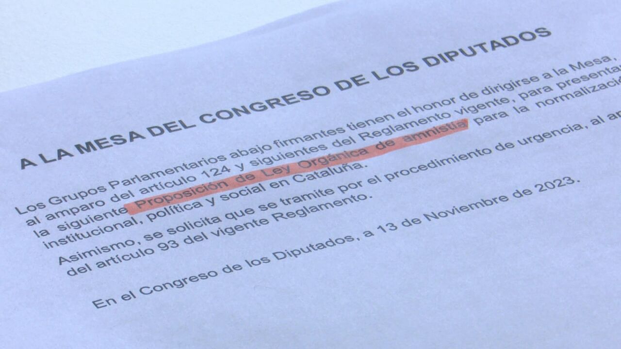 ¿Por qué la ley de amnistía no ha sido publicada todavía en el BOE ...