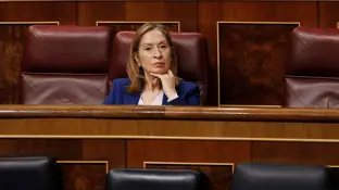 La diputada del PP y expresidenta del Congreso Ana Pastor en una sesión de la Cámara Baja La diputada del PP y expresidenta del Congreso Ana Pastor en una sesión de la Cámara Baja