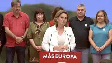 El PSOE resiste aunque cae a segunda posición en las elecciones europeas