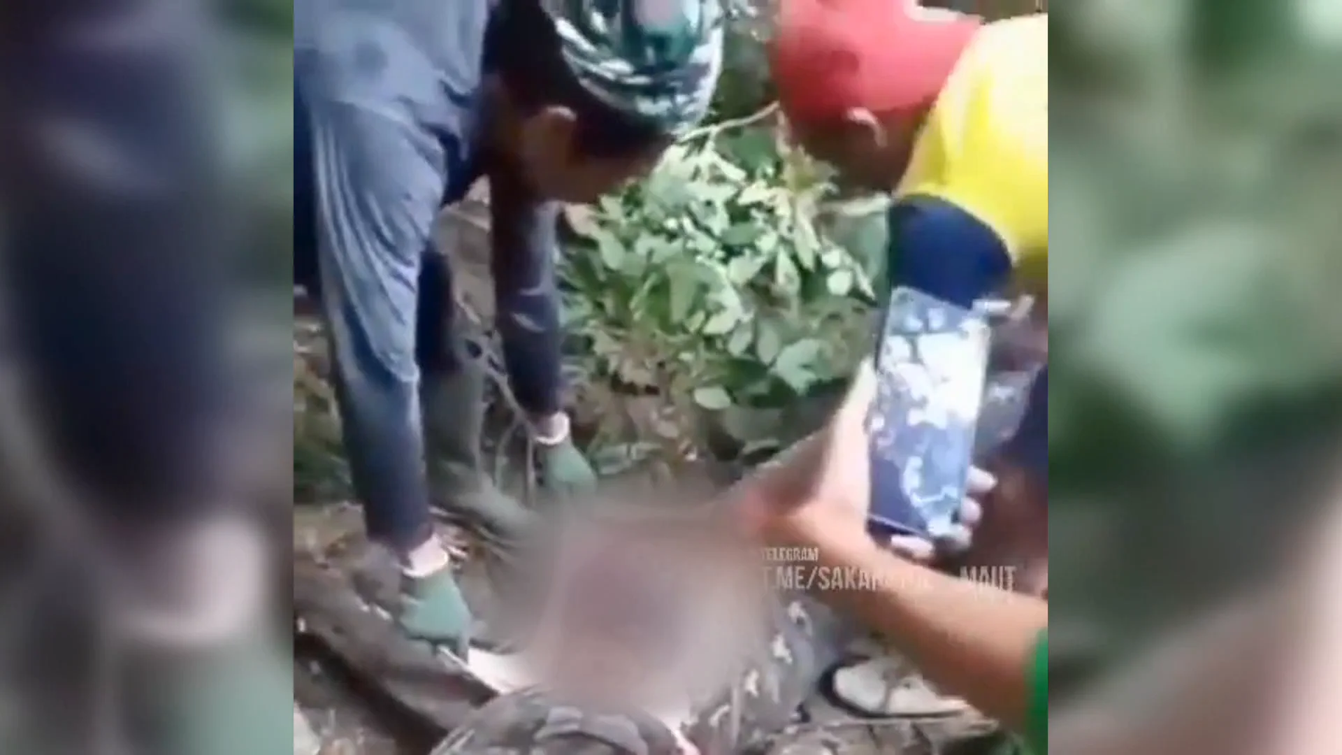 El cuerpo de una mujer aparece en el interior de una serpiente pit&oacute;n
