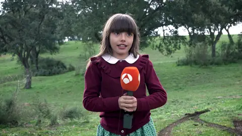 Amanda Cárdenas Amanda Cárdenas