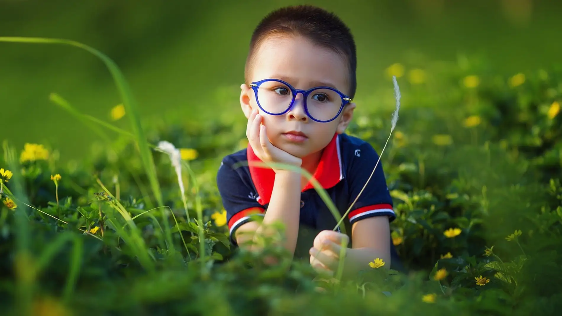 Niño con gafas tumbado en un prado