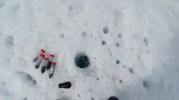 Varias muestras de microorganismos en el hielo Varias muestras de microorganismos en el hielo