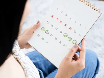 Calendario del ciclo menstrual Calendario del ciclo menstrual