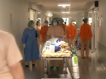 Operación de cirugía estética. Operación de cirugía estética.