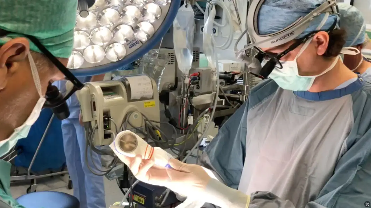 Crean un “secador de pelo espacial” que regenera el tejido cardiaco Crean un “secador de pelo espacial” que regenera el tejido cardiaco