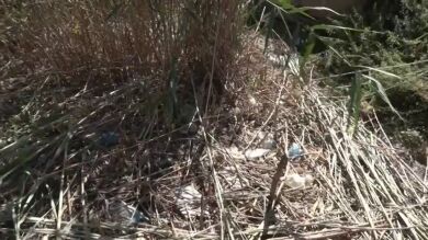 Encuentran el cadáver de Ester Estepa, desaparecida en 2023: investigan al asesino en serie 'Dinamita Montilla'