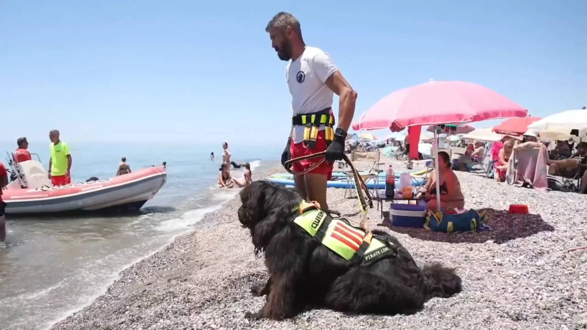 Queen, una de las perras socorristas que este verano trabajar&aacute; en las playas de M&aacute;laga