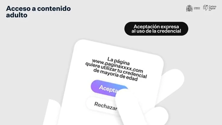 Acceso web ponográfica Acceso web ponográfica