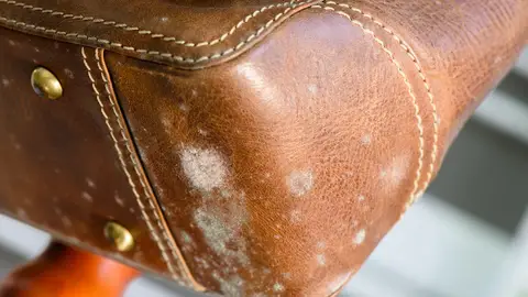 Bolso dañado Bolso dañado