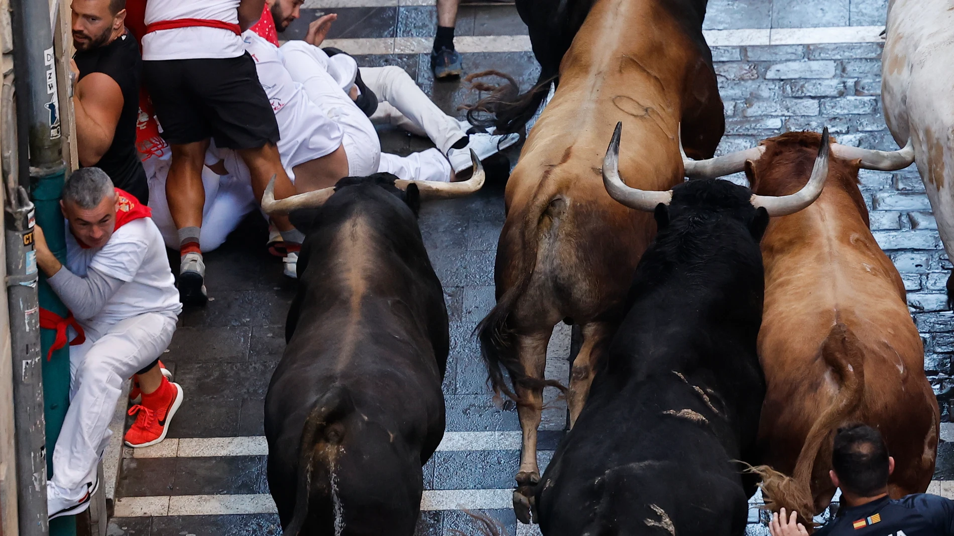 Primer encierro de San Fermín en Pamplona 2024 Primer encierro de San Fermín en Pamplona 2024
