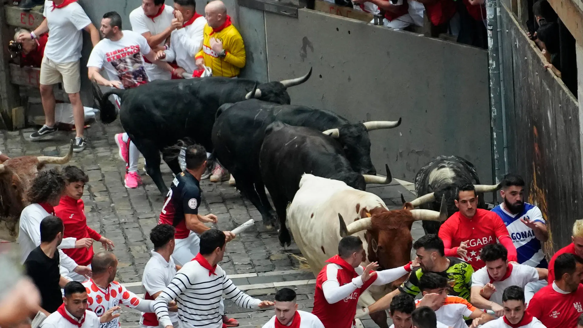 Tercer encierro de San Fermín 2024 Tercer encierro de San Fermín 2024