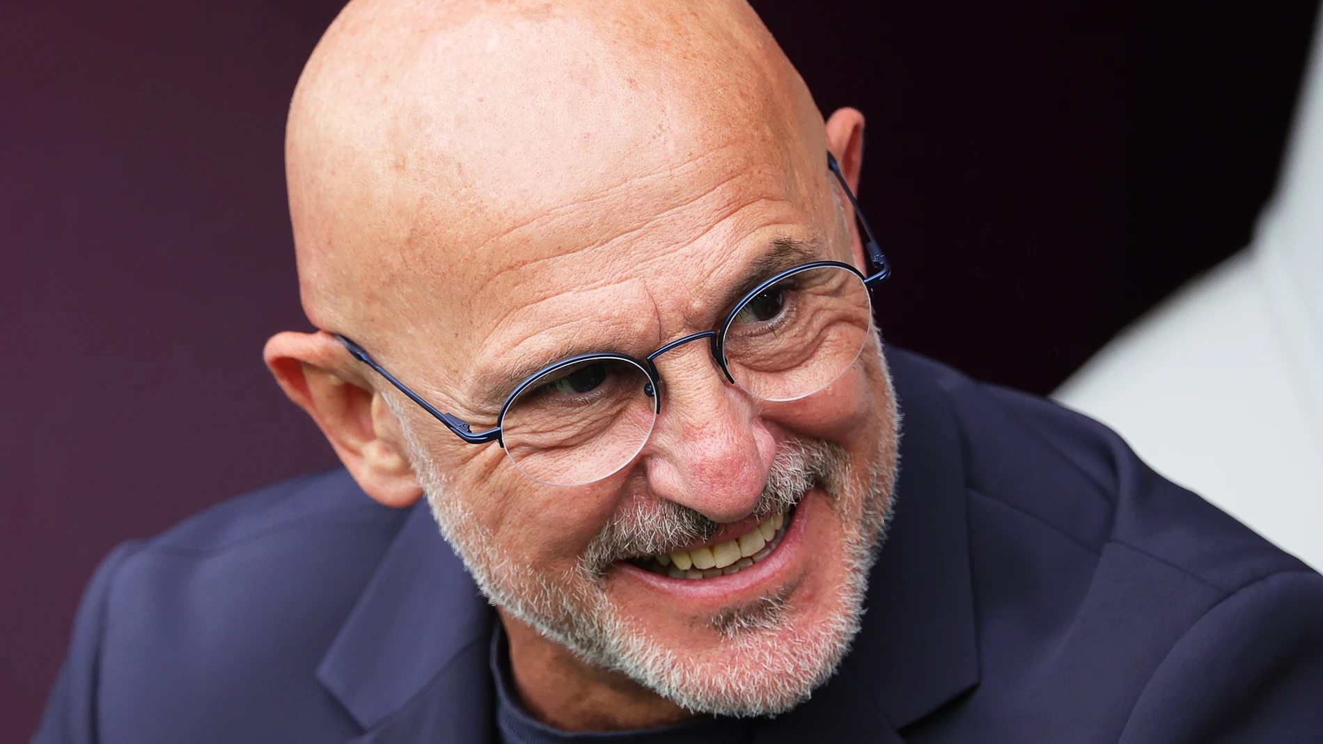 Luis de la Fuente, seleccionador del equipo, se pronuncia sobre la semifinal contra Francia Luis de la Fuente, seleccionador del equipo, se pronuncia sobre la semifinal contra Francia