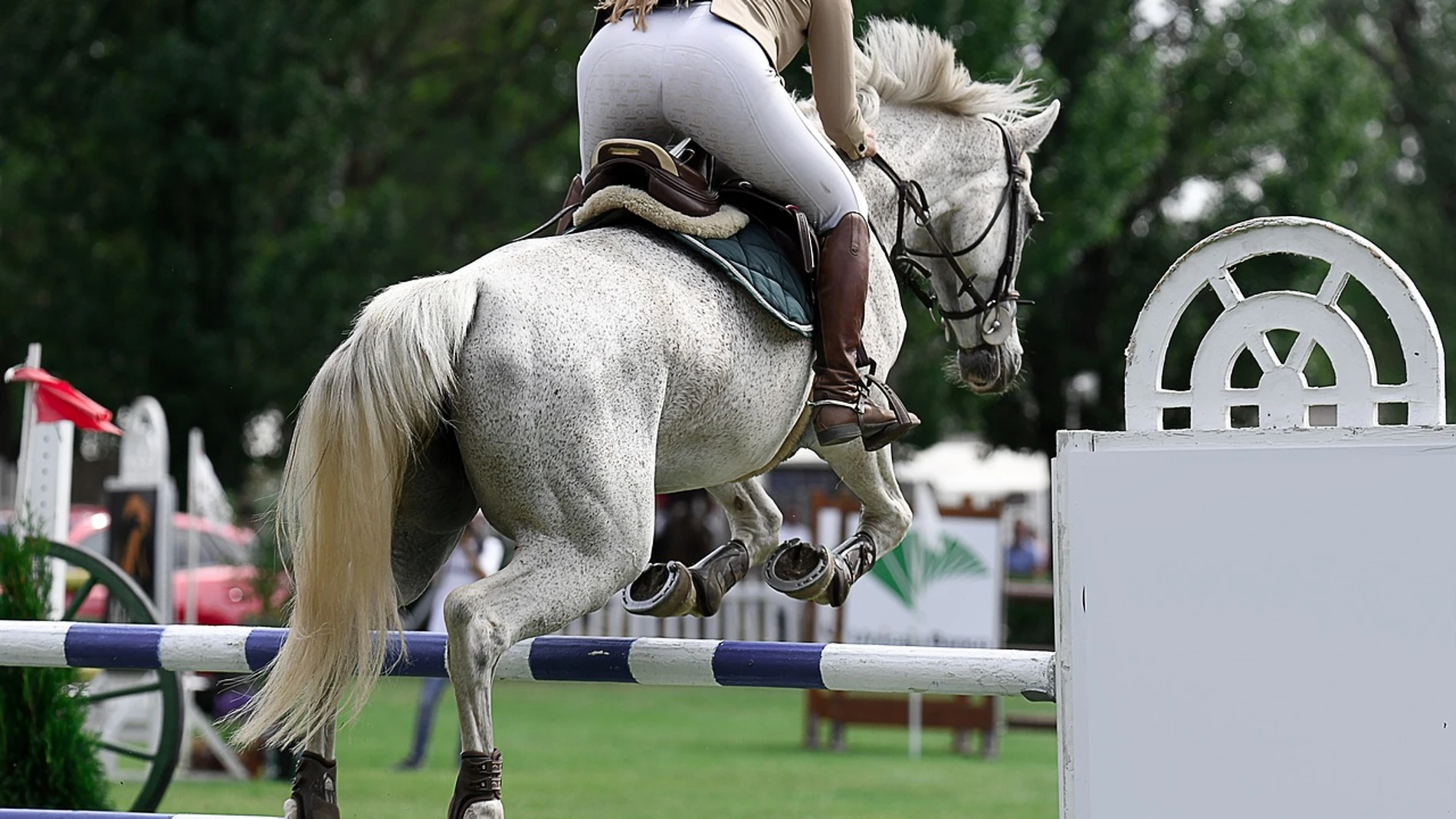 Fallece una joven de 24 años tras caer de un caballo en Pepino, Toledo Fallece una joven de 24 años tras caer de un caballo en Pepino, Toledo