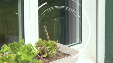 Fotografía y delata a sus vecinos a la DGT que no paran de recibir multas en un pueblo de Lugo