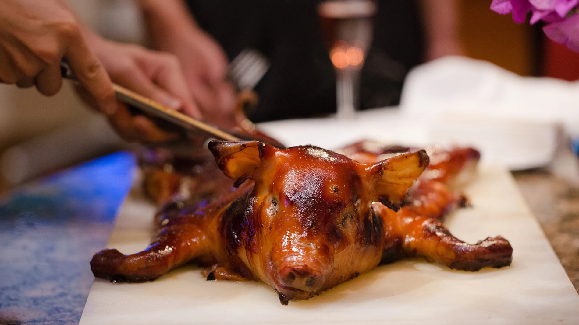 Cochinillo Cochinillo