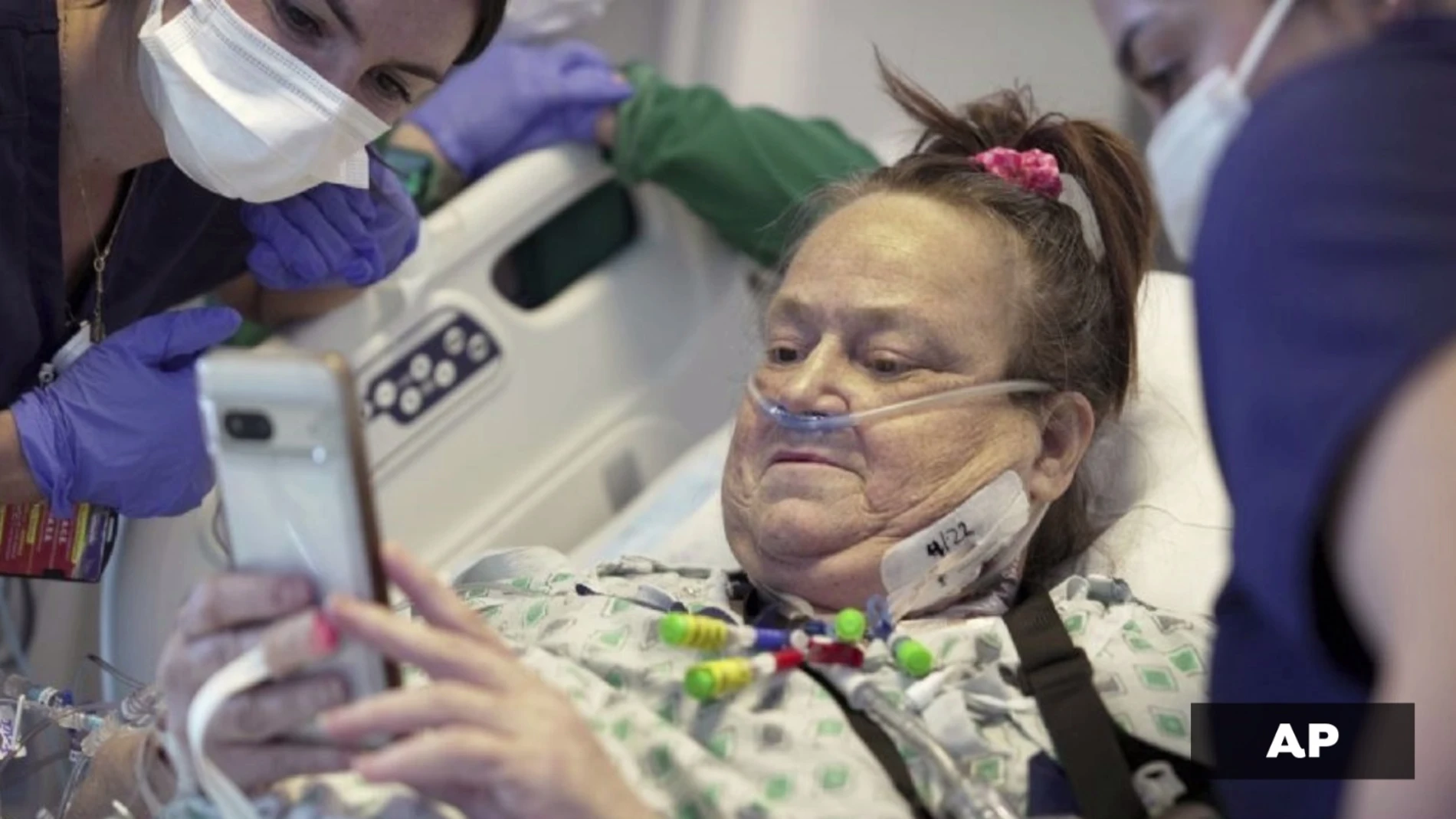 Lisa Pisano, la segunda persona en el mundo en recibir un trasplante de riñón de cerdo Lisa Pisano, la segunda persona en el mundo en recibir un trasplante de riñón de cerdo