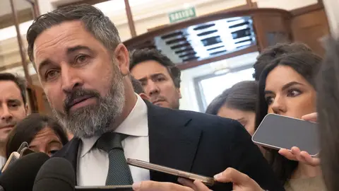 El líder de VOX, Santiago Abascal, ofrece declaraciones a los medios a su llegada al pleno extraordinario El líder de VOX, Santiago Abascal, ofrece declaraciones a los medios a su llegada al pleno extraordinario