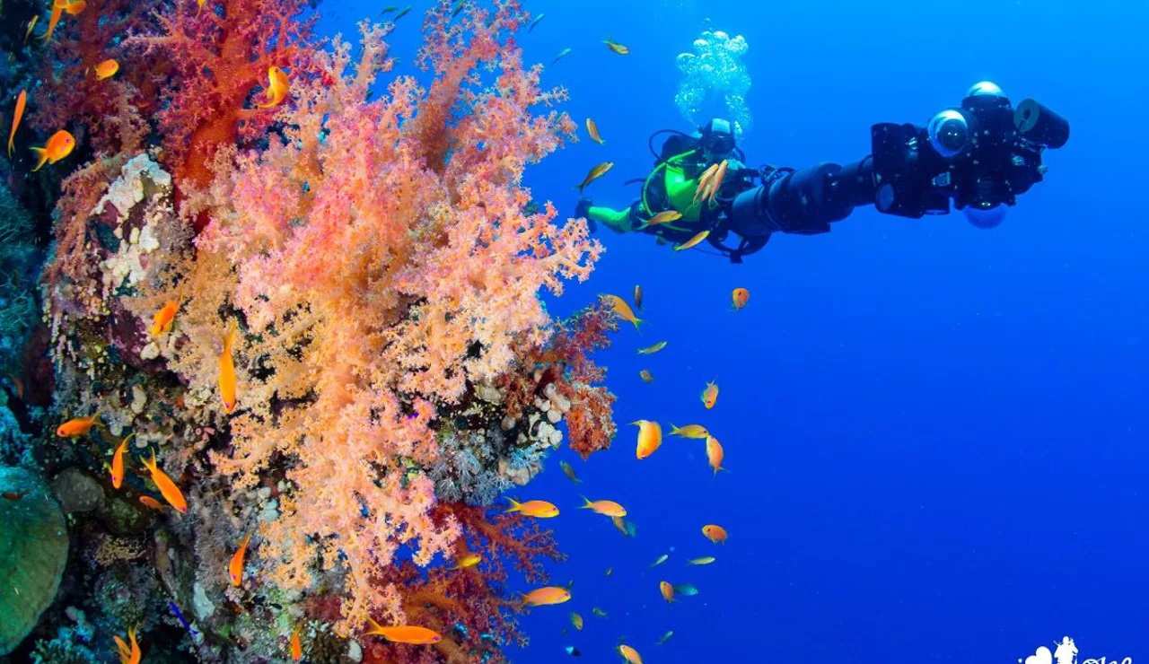 Los grandes retos de la investigación oceánica / Foto: I Love The World