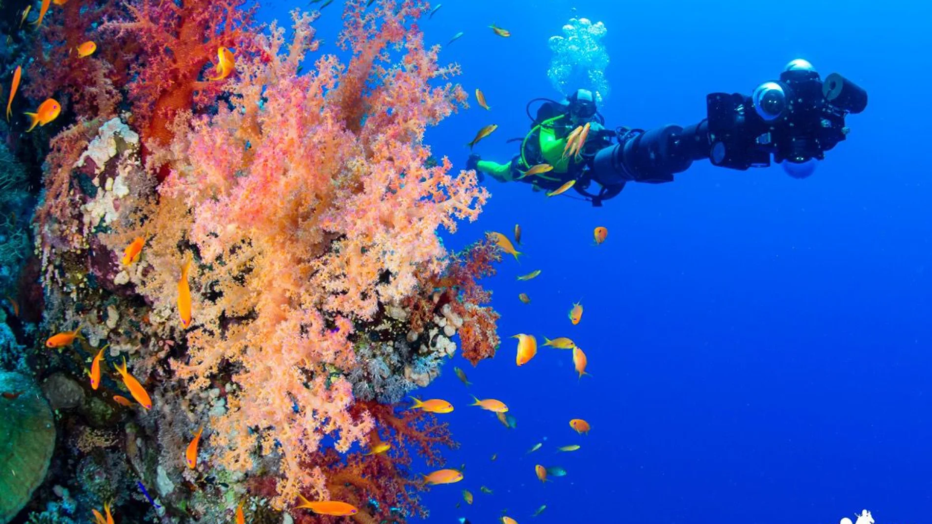 Los grandes retos de la investigación oceánica / Foto: I Love The World Los grandes retos de la investigación oceánica / Foto: I Love The World