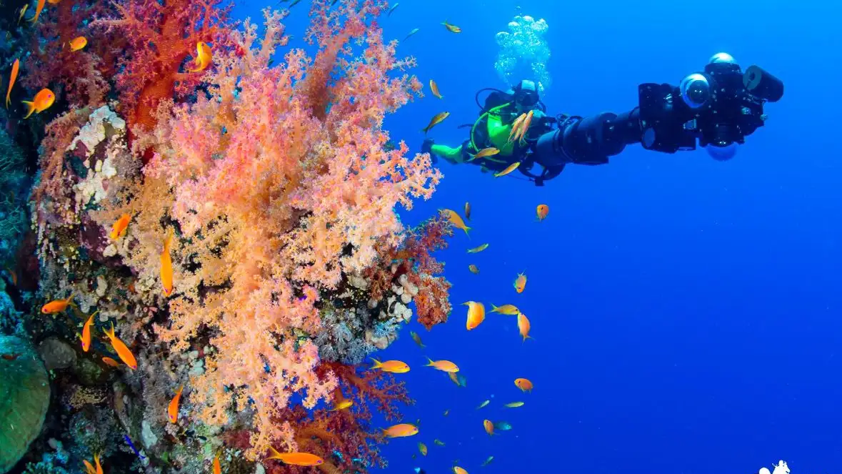 Los grandes retos de la investigación oceánica / Foto: I Love The World Los grandes retos de la investigación oceánica / Foto: I Love The World