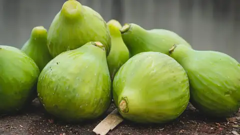 Higos verdes Higos verdes