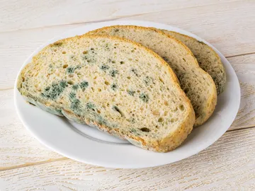 Pan de molde con moho Pan de molde con moho