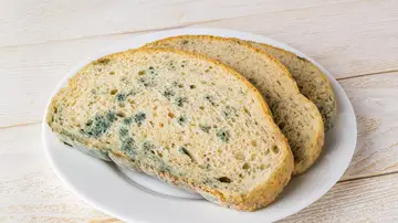 Pan de molde con moho